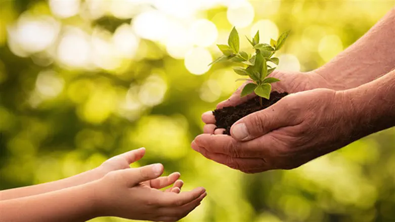 אילוסטרציה