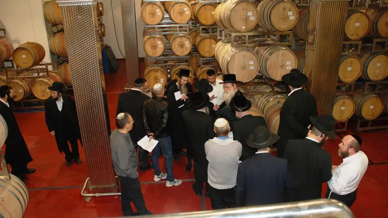 Tithes at Israeli vineyyard