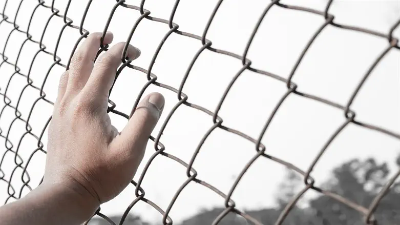 Fence (illustrative)