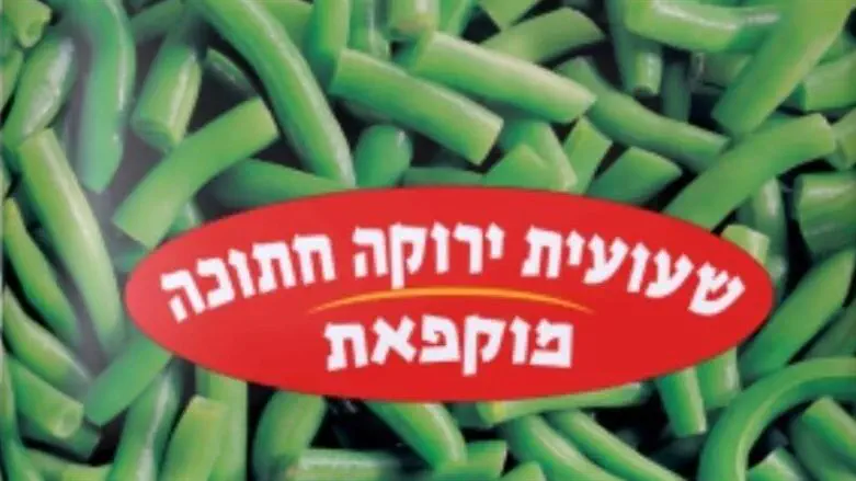 סנפרוסט