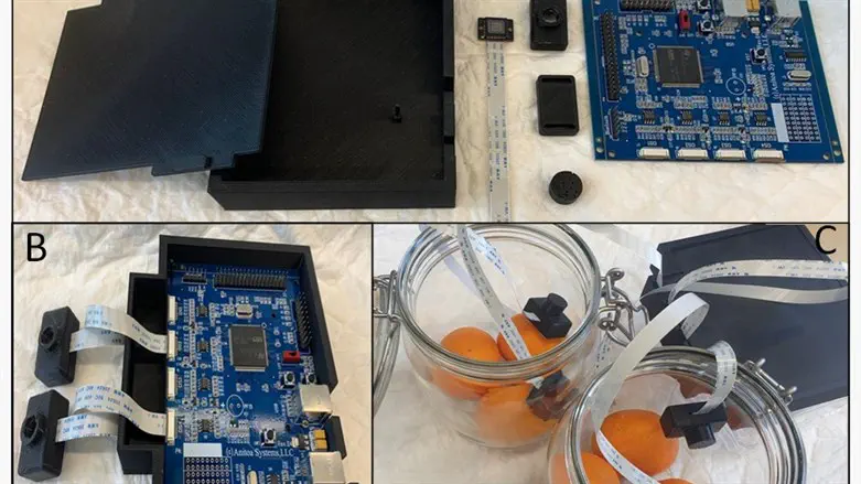 The biosensor system