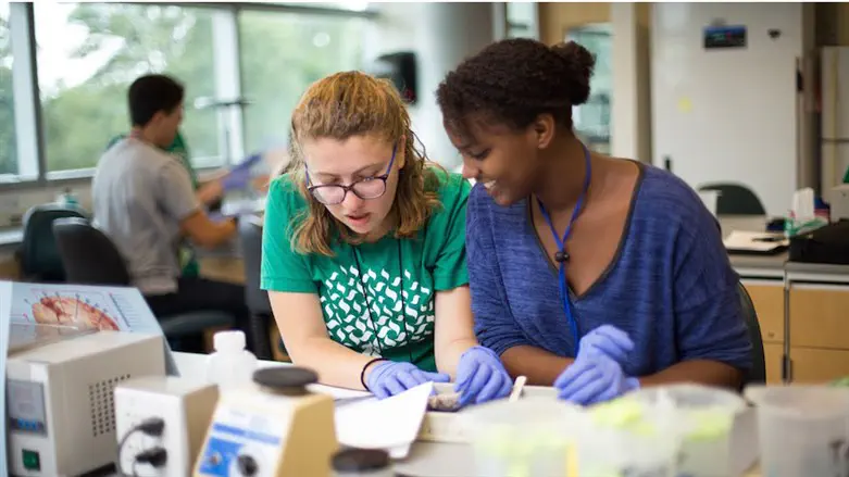 Школьные занятия (иллюстрация)