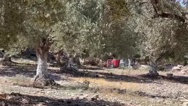 ВАКФ сваливает мусор на Храмовой горе