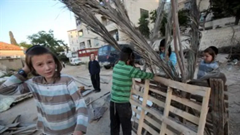 אוספים עצים למדורות בירושלים