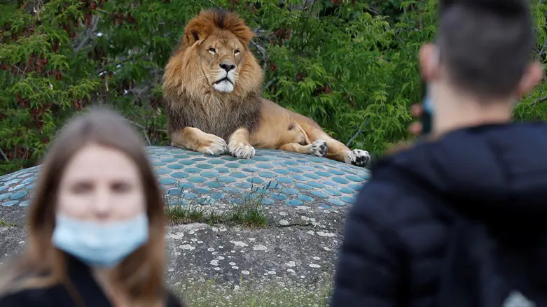 גן החיות בוורשה