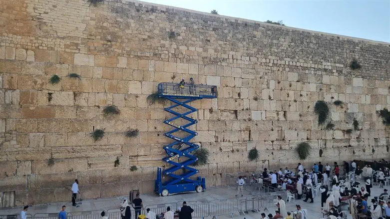 בודקים את האבנים