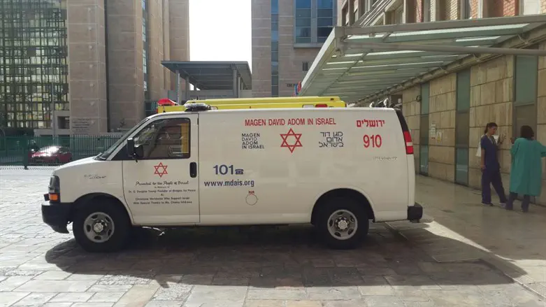 הדסה עין כרם