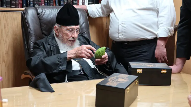הרב האזרחי בודק אתרוגים