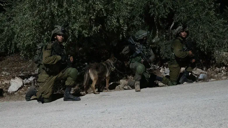 הלוחמים בכפר