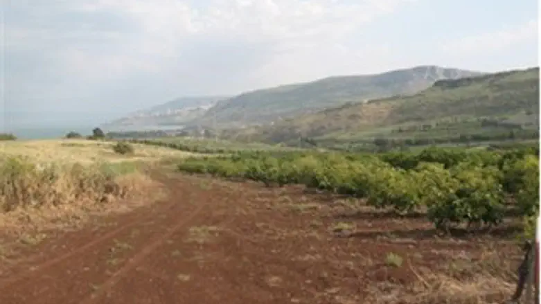 בקעת גינוסר