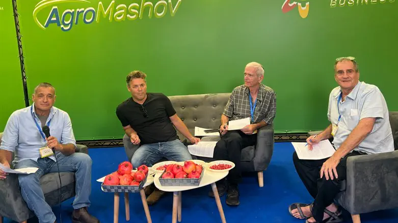 צוות השופטים