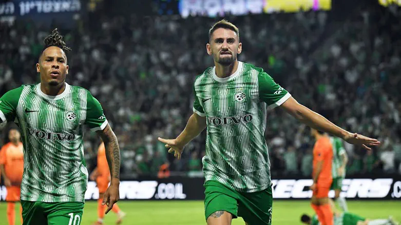 אצילי. כל אירופה מדברת עליו