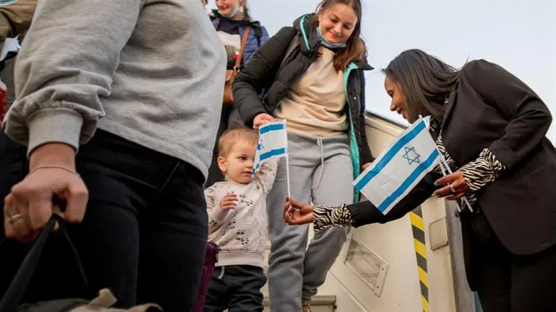 פנינה תמנו שטה