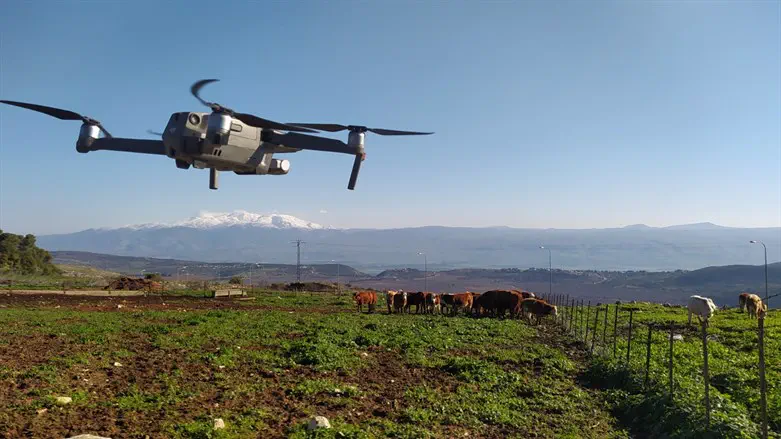 הרחפנים האוטומטיים - ביפרי