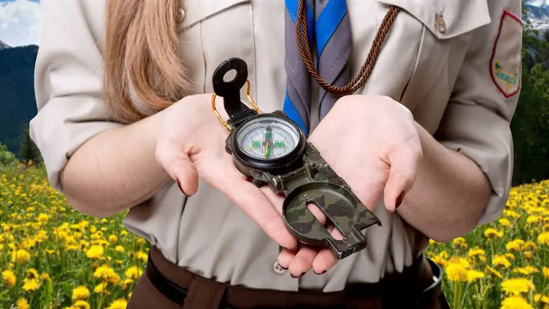 Scout (illustrative)