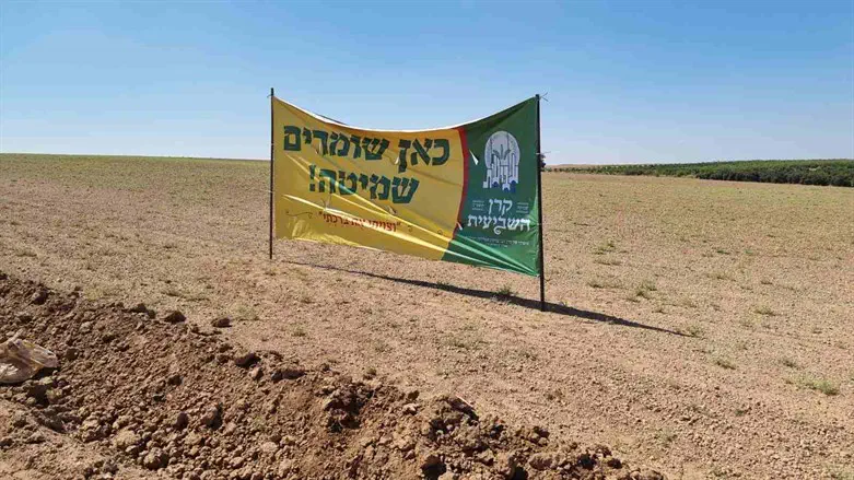כאן שומרים שמיטה