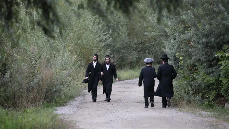 Хасиды в Умани (файл)