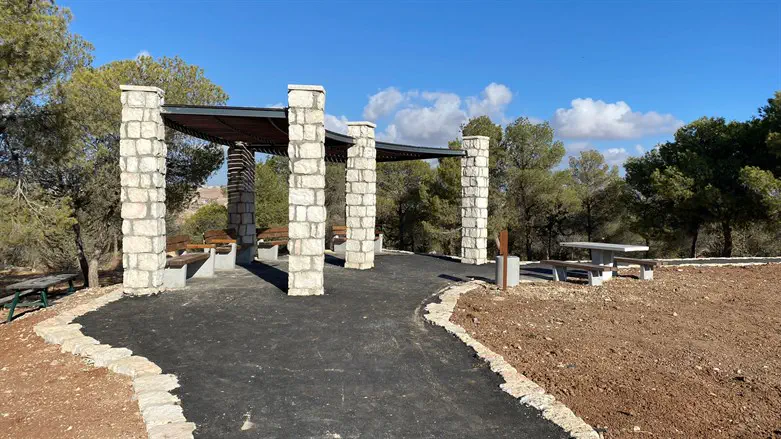 הנגשת יער כרמל בדרום הר חברון