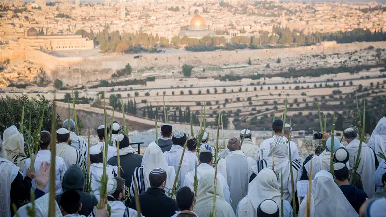 חוגגים את חג הסוכות בירושלים
