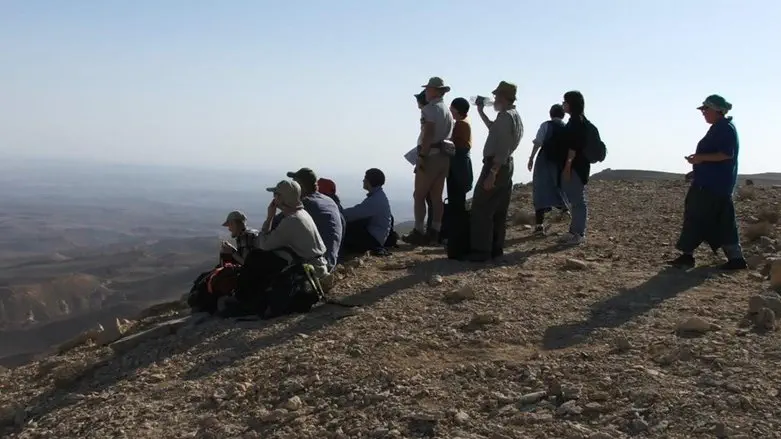 משקיפים מהר כרכום