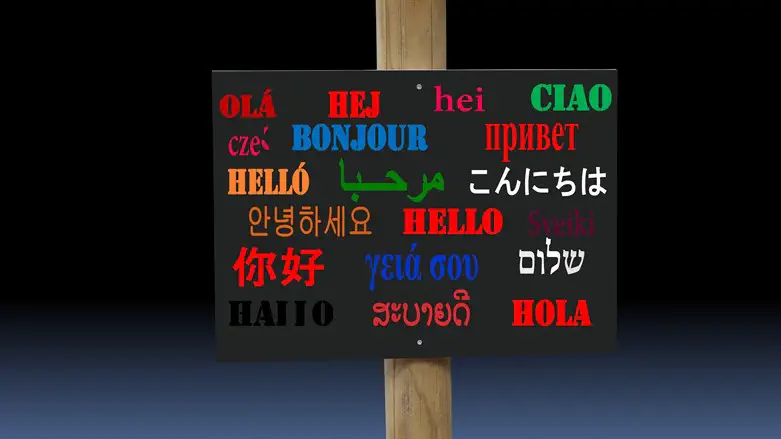 Bilingual multilingual sign