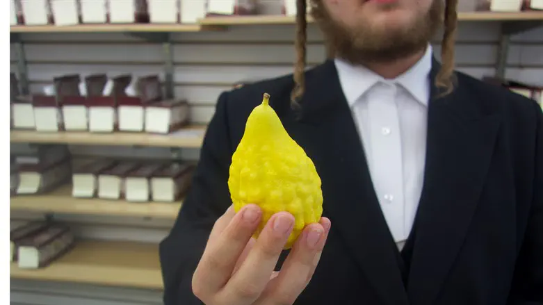 Etrog