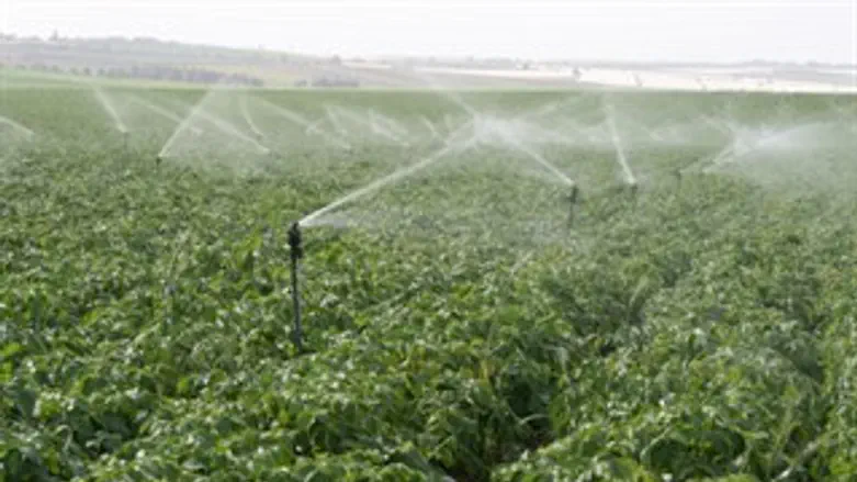 מהשדות לבריכות הפרטיות...