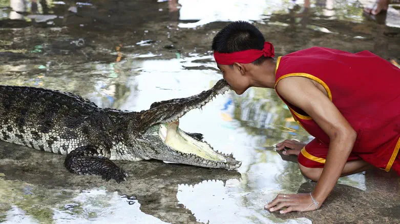 בקרוב בפארק ליד הבית?