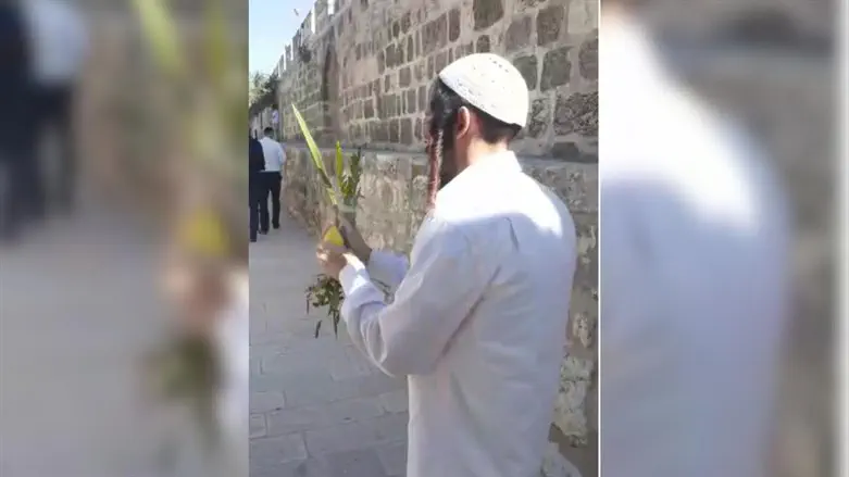 ארבעת המינים בהר הבית