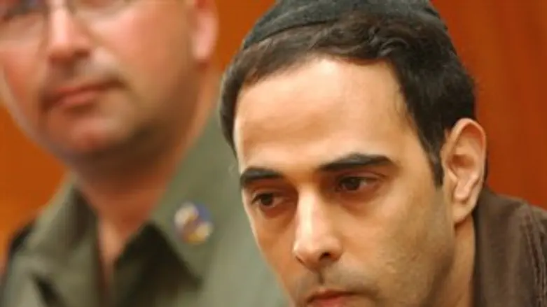 לימוד משותף. עמיר