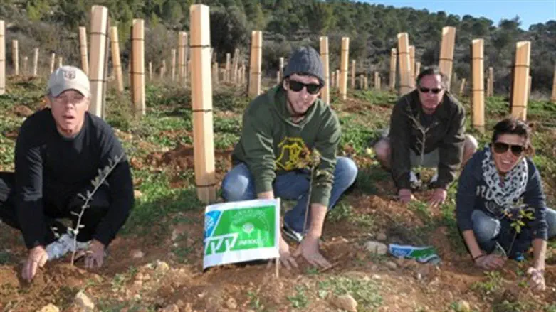 planting trees