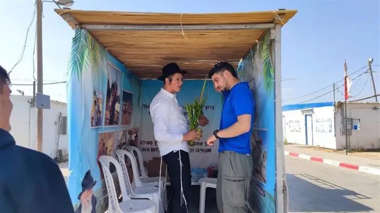 נטילת ארבעה מינים בסוכה ניידת