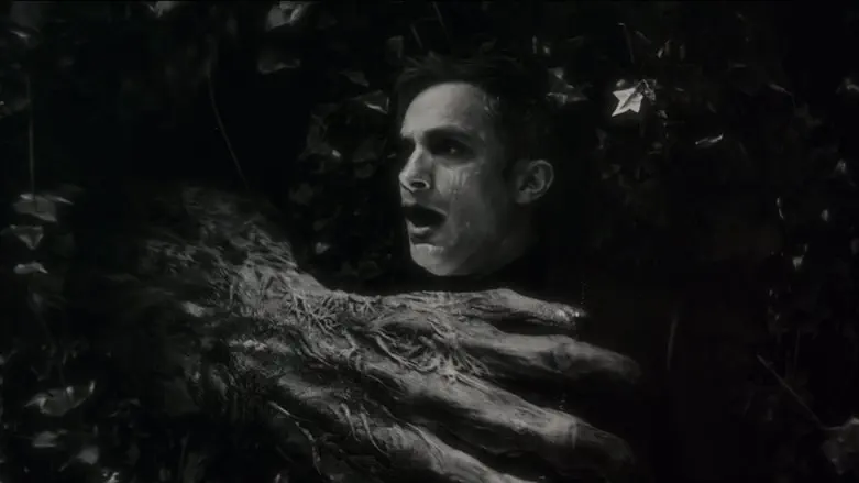 איש הזאב בלילה