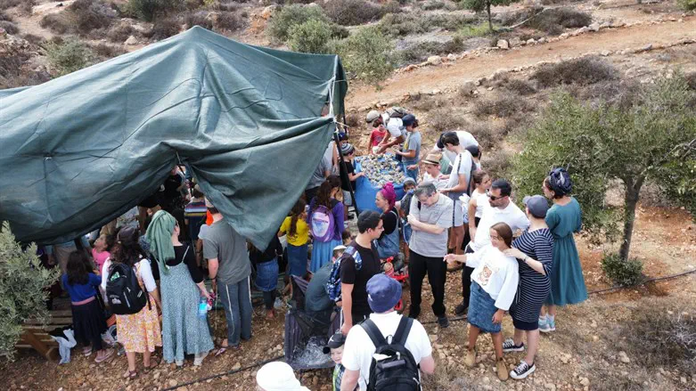 המטיילים במטע של נעם רז