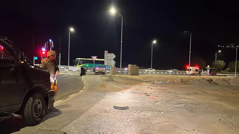 Окрестности поселения Эли. Иллюстрация