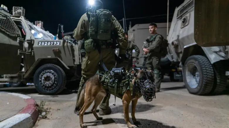 Terrorists arrested