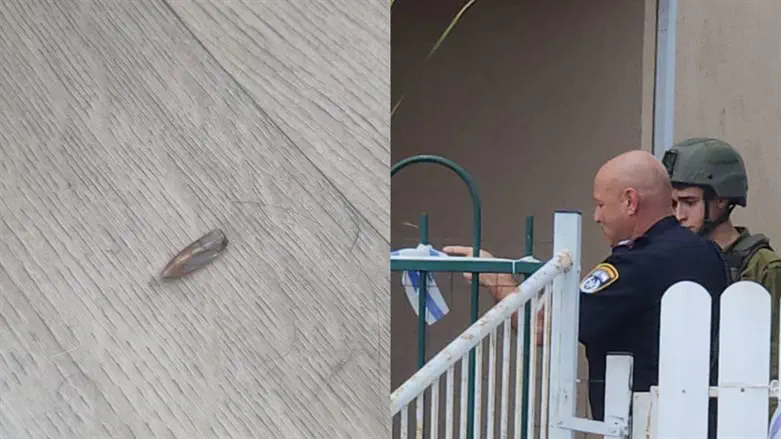 הקליע וכוחות הביטחון בזירה