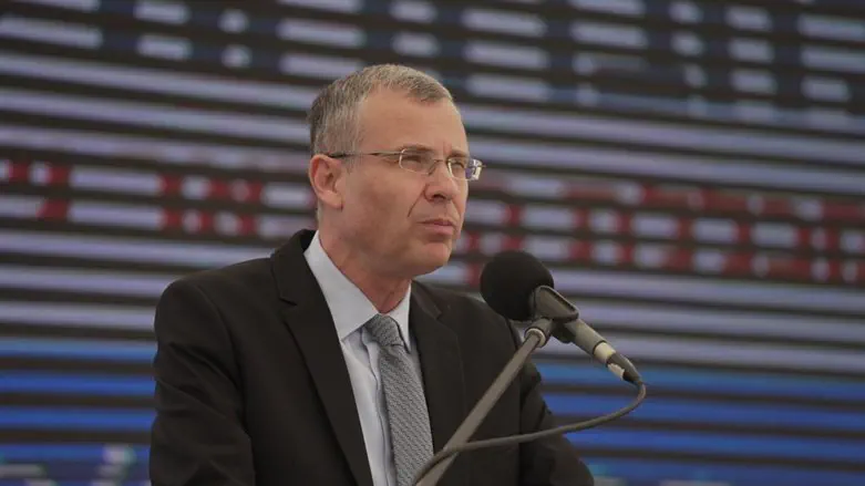 Likud MK Yariv Levin