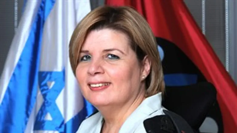 אורנה ברביבאי. שיקולים הלכתיים