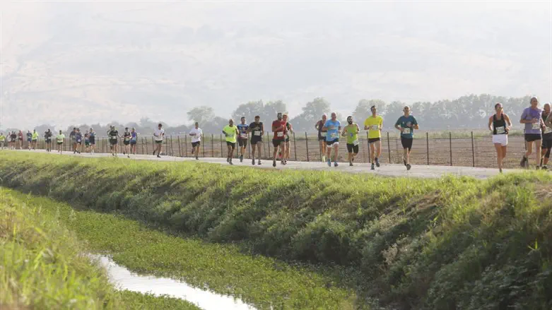 מרוץ העגור באגמון החולה