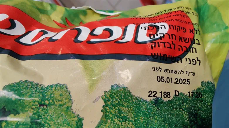 סנפורסט