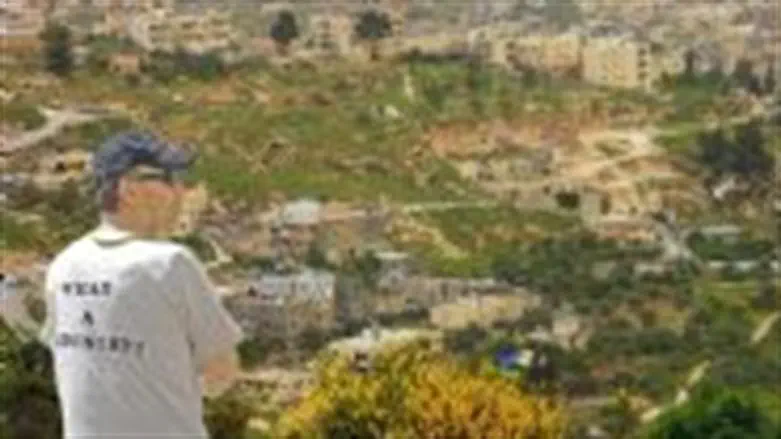 Shalom Pollack