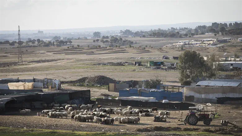 Negev Bedouin