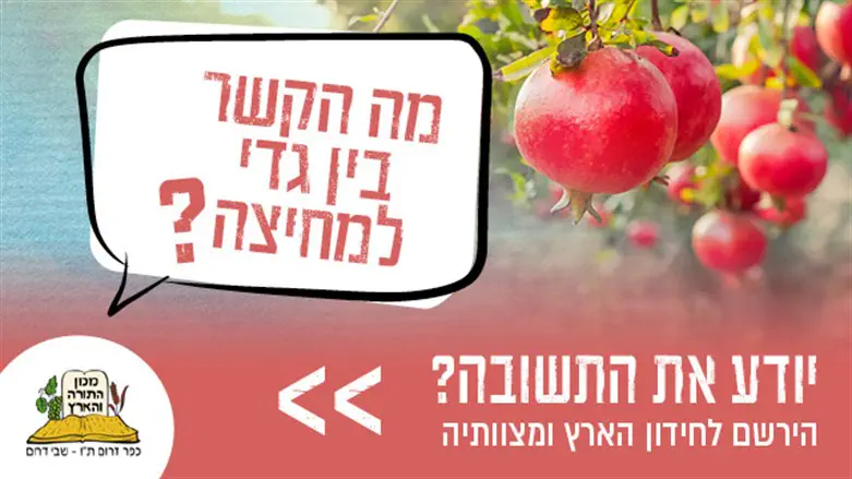חידון הארץ ומצוותיה