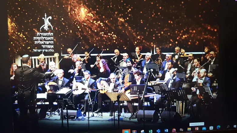 אנדלוסית אשדוד