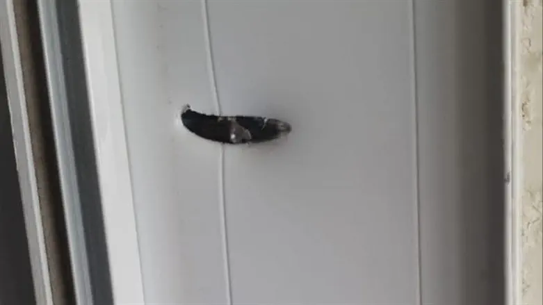 shooting at house in Shaked