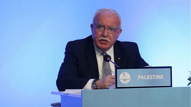 Riyad Al-Maliki