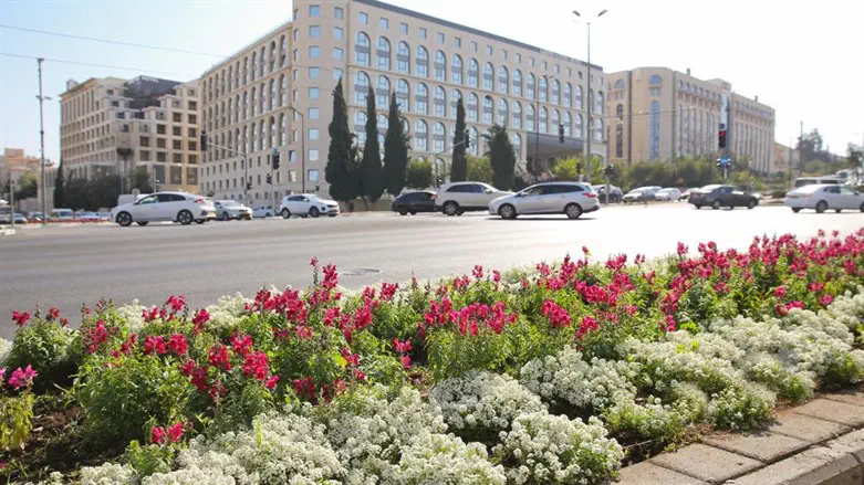 שתילים בירושלים לאחר השמיטה