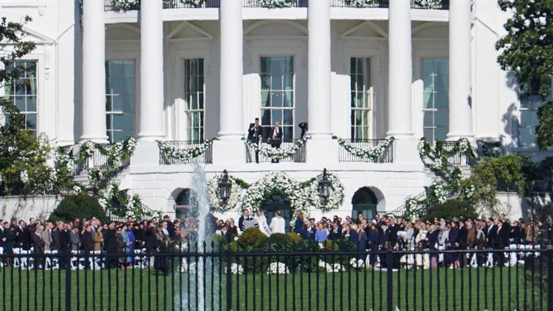 החתונה על הדשא