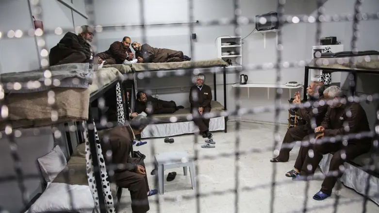 Terrorist prisoners